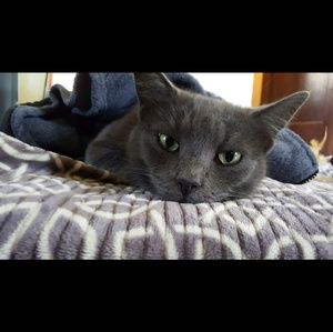 Meet your Posher, Shelly